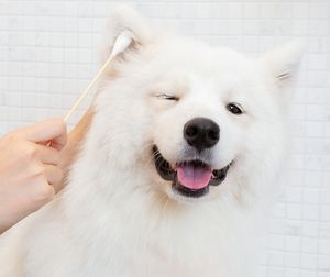 健康护理